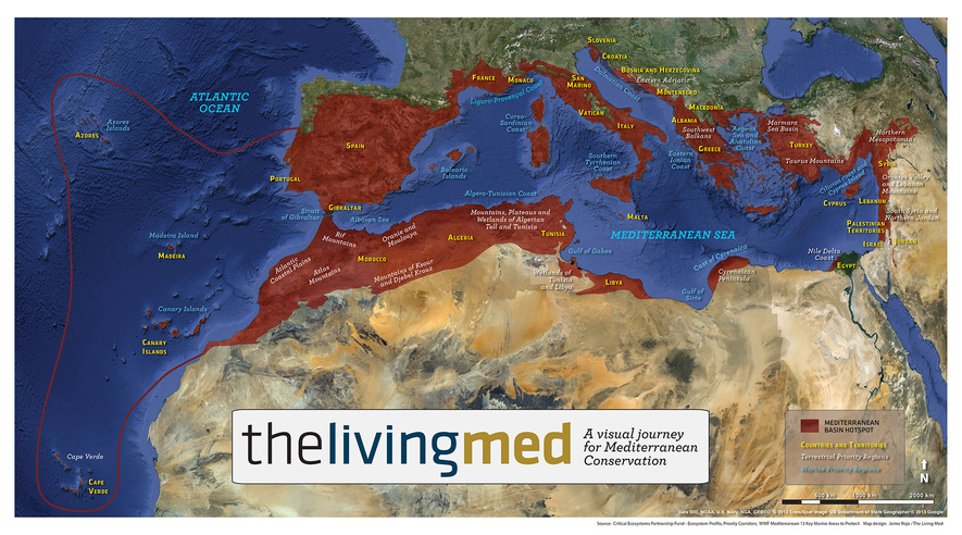 Mediterranean Basin hot spot - The Environment: the Good and Bad